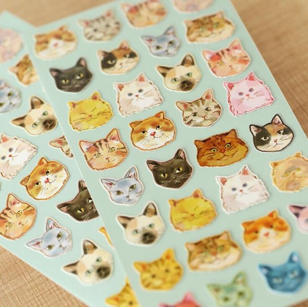 Стикер "котик"