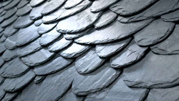 Чешуйчатый дракон