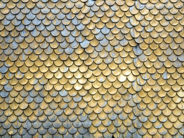 Альфа чешуя Zbrush