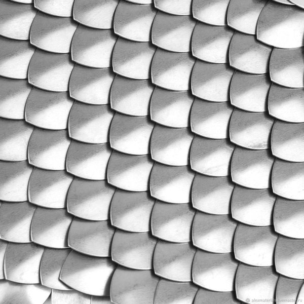 Змеиная чешуя