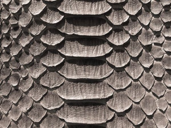 Клад чешуек