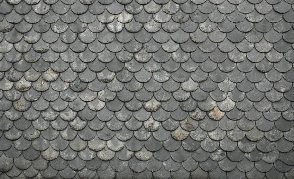 Чешуя Михаила Федоровича каталог определитель