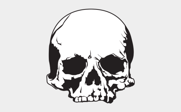 Череп растровый