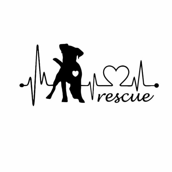 Капитан Джек Воробей черно белый