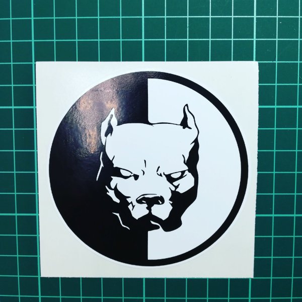 Pitbull Давидыч