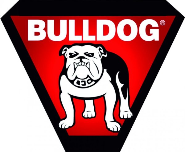 Питбуль Эрика Давидыча