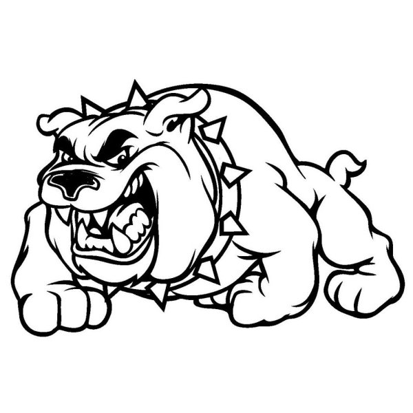 Наклейка бульдог на авто