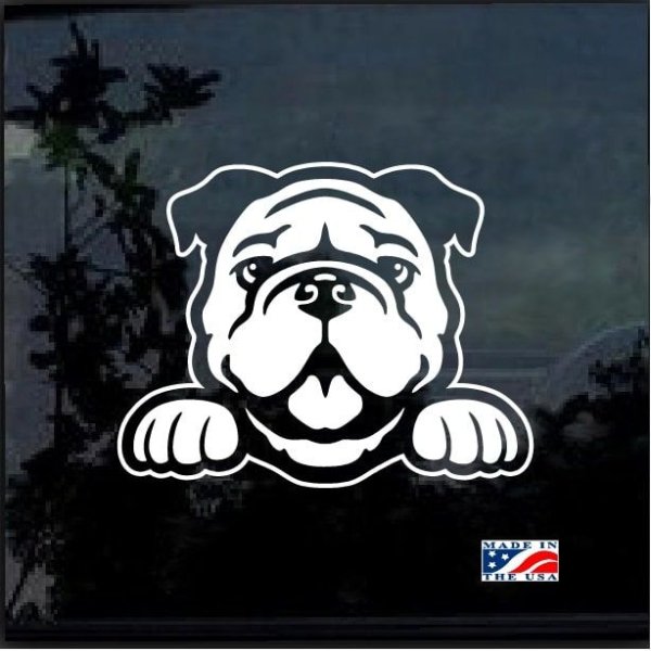 Знак Давидыча питбуль