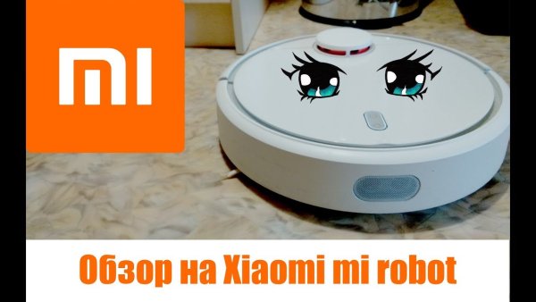 Робот пылесос с приклеенными глазами