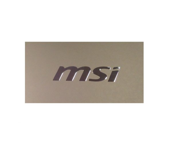 MSI логотип серый