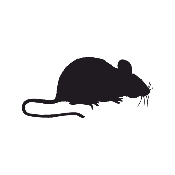 Наклейка интерьерная мыши