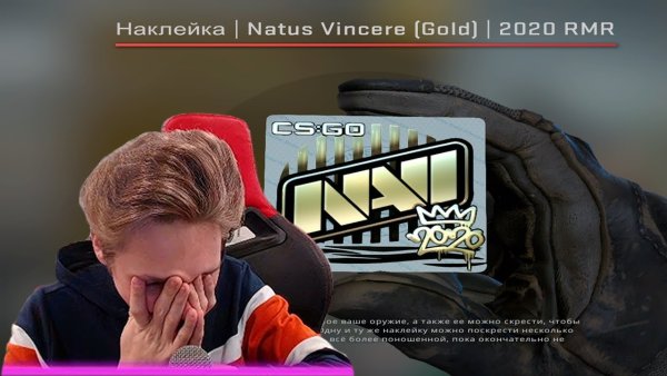 Наклейка Navi РМР 2020