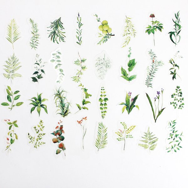 Эстетичные наклейки растения