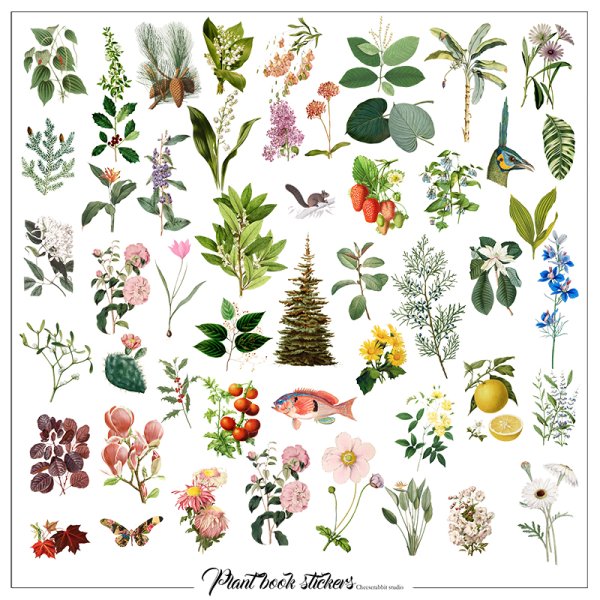 Наклейки растения