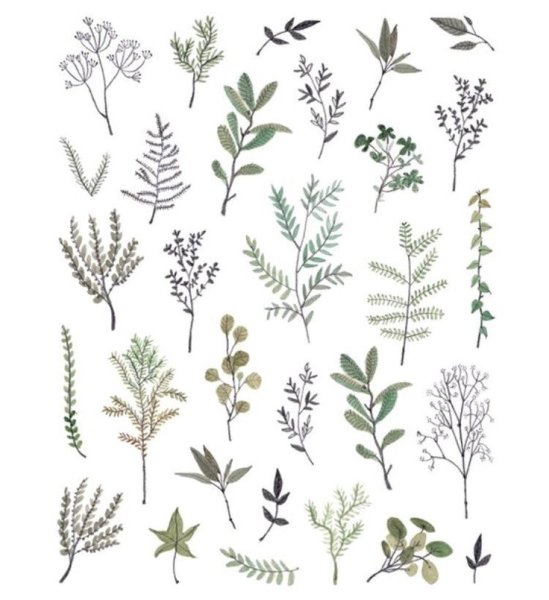 Тату полевые травы