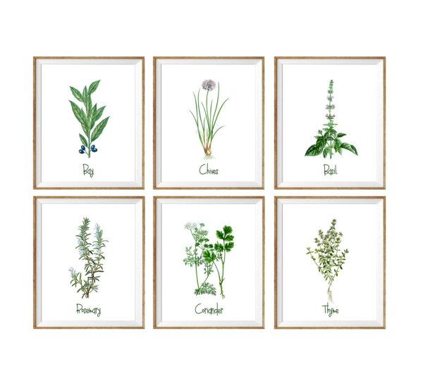 Карточки для травника распечатки