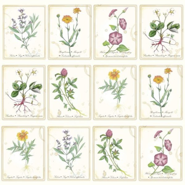 Наклейка - полевые цветы