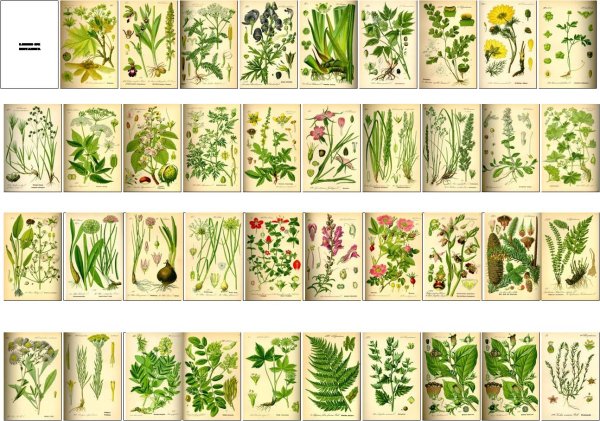 Обложки для миниатюрных книг