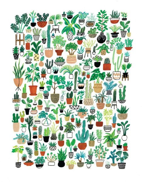 Красивые наклейки растения