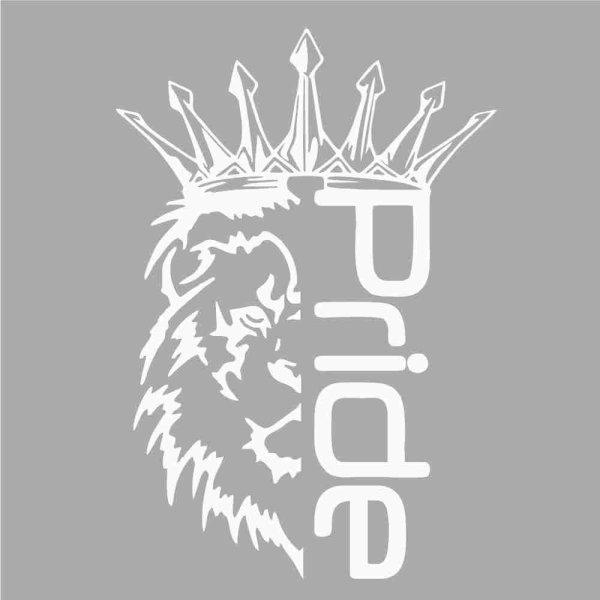 Pride car Audio наклейка