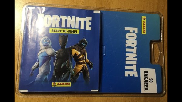 Панини журналы фортнайь