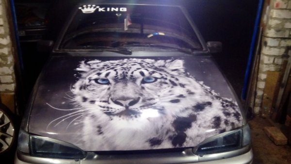 Наклейки на капот ВАЗ 2114 Прайд