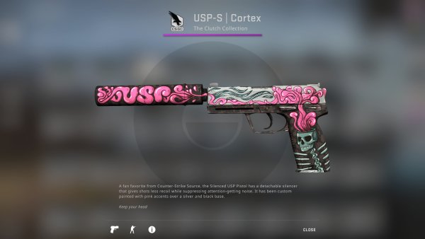 КС го ЮСП извилины