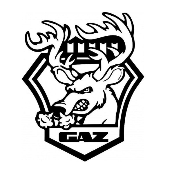 Наклейка на автомобиль