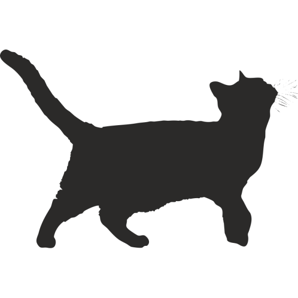 Наклейки кошечки