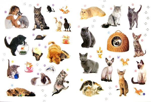 Стикеры с животными