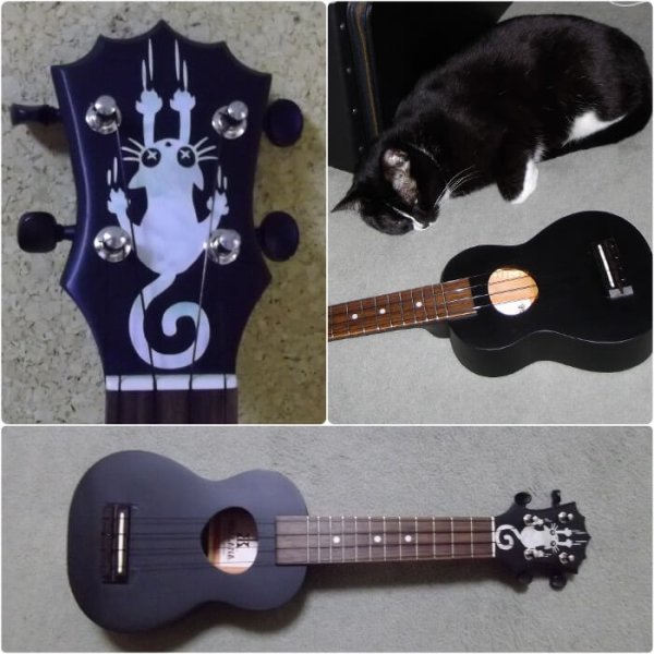 Наклейки на гитару