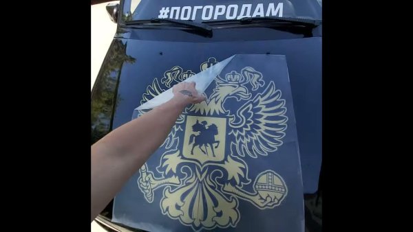 Версаче на капоте ВАЗ 2114