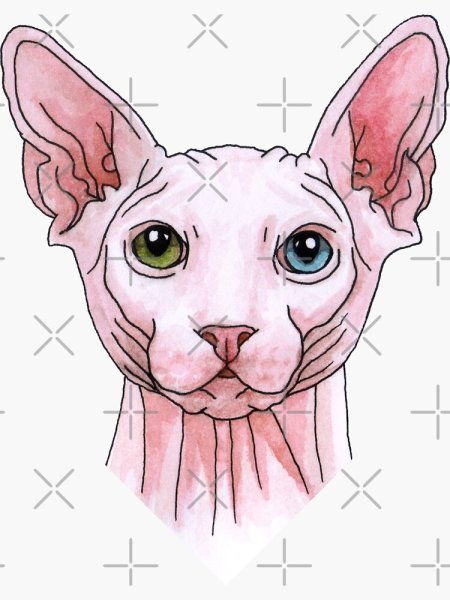 Канадский сфинкс стикер