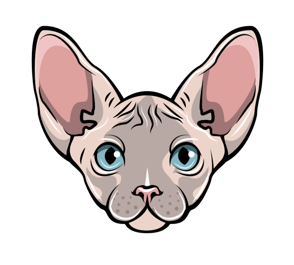 Канадский сфинкс вектор