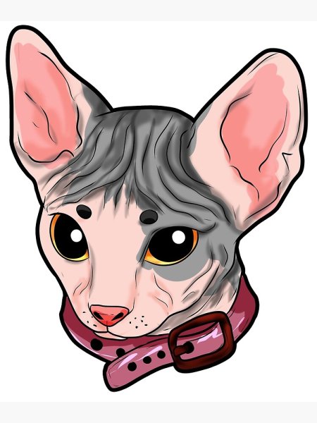 Канадский сфинкс стикер