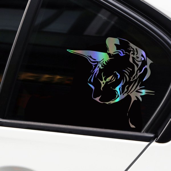 Диски сфинкс на машину