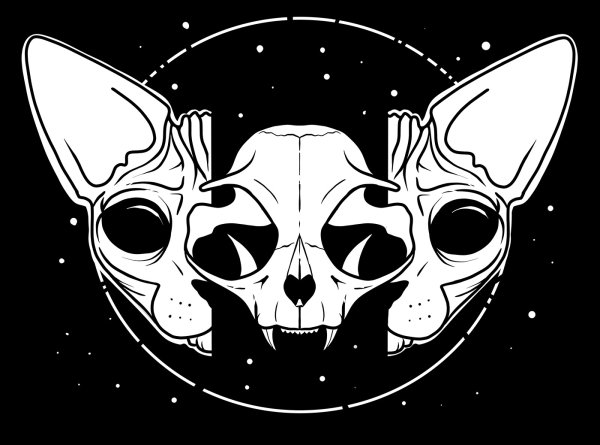 Череп кота арт