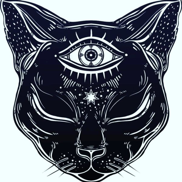 Кошка с третьим глазом