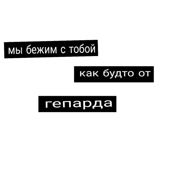 Цитаты без фона