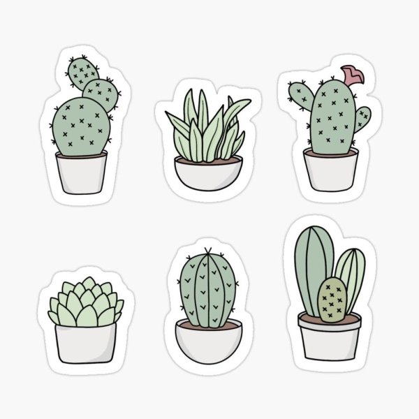 Стикеры кактусы