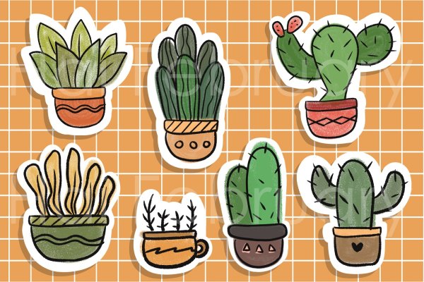 Стикеры кактусы