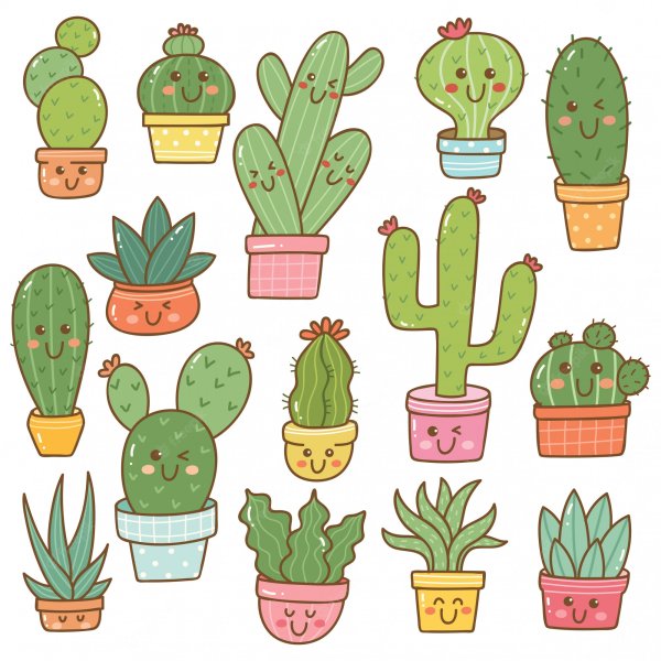 Кавайные кактусы