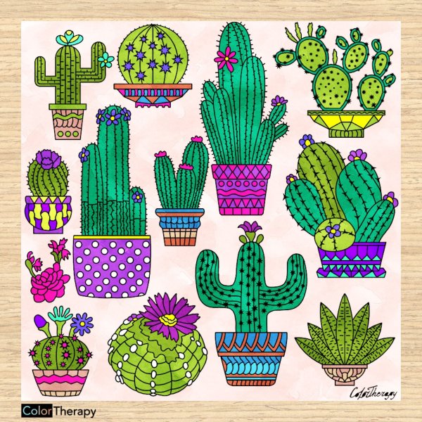 Дудлинг кактусы