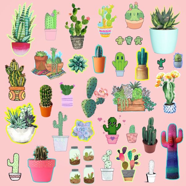 Наклейки растения