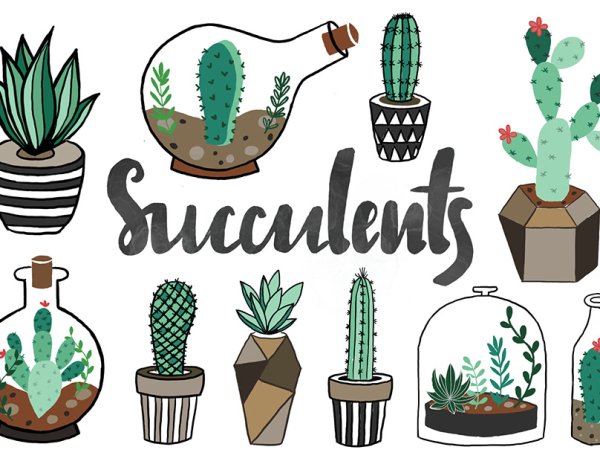 Стикеры для скетчбука растения