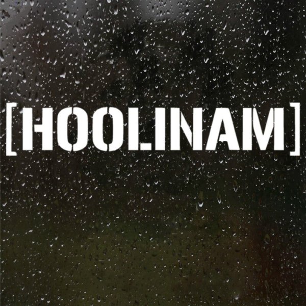 HOOLINAM наклейка на лобовое