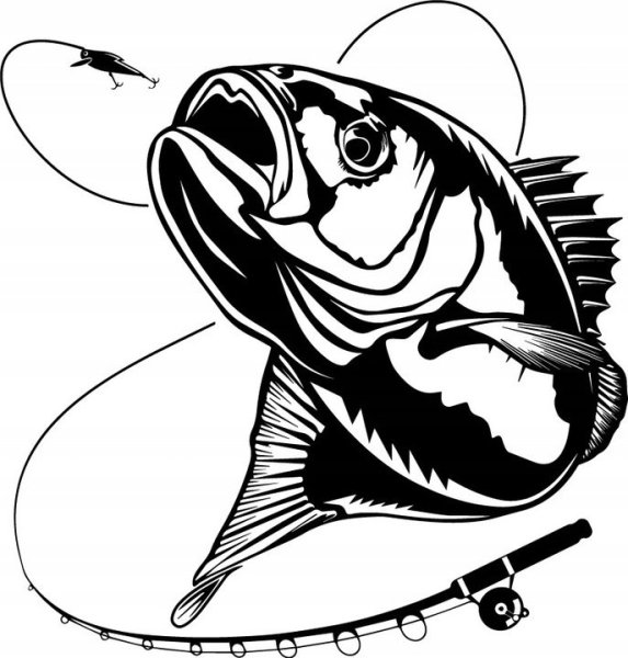 Наклейки для рыбаков