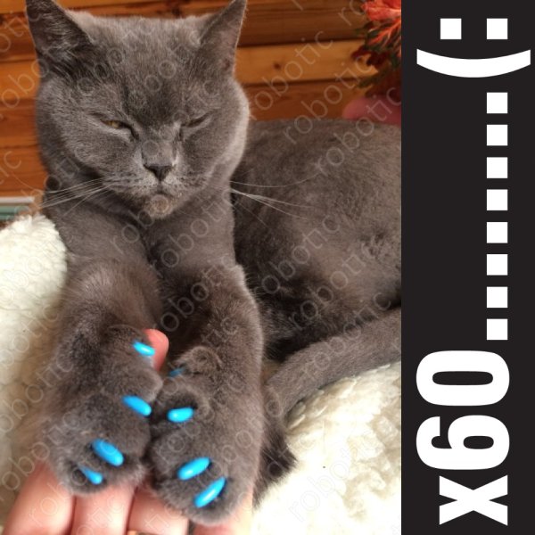 Когти для котов накладки