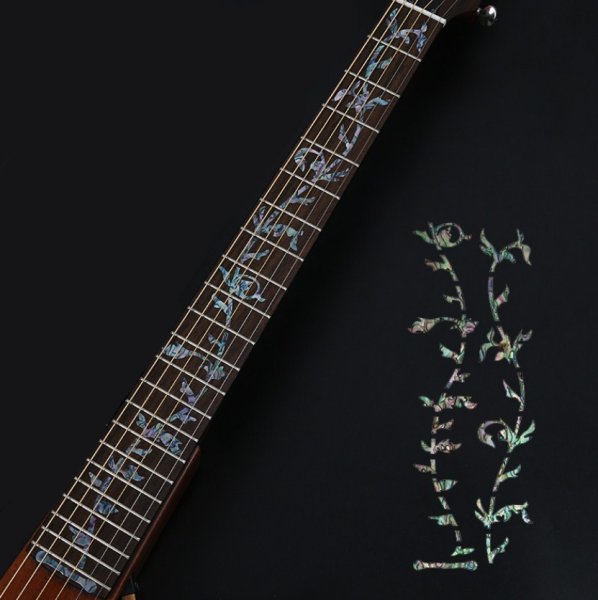 Наклейки на гриф электрогитары