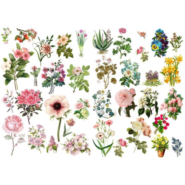 Акварельные принты